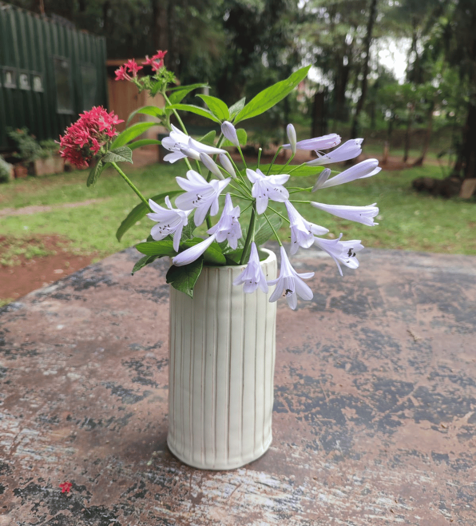 Ceramic vase